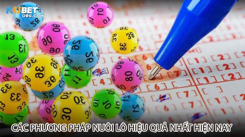 Các phương pháp nuôi lô hiệu quả nhất hiện nay