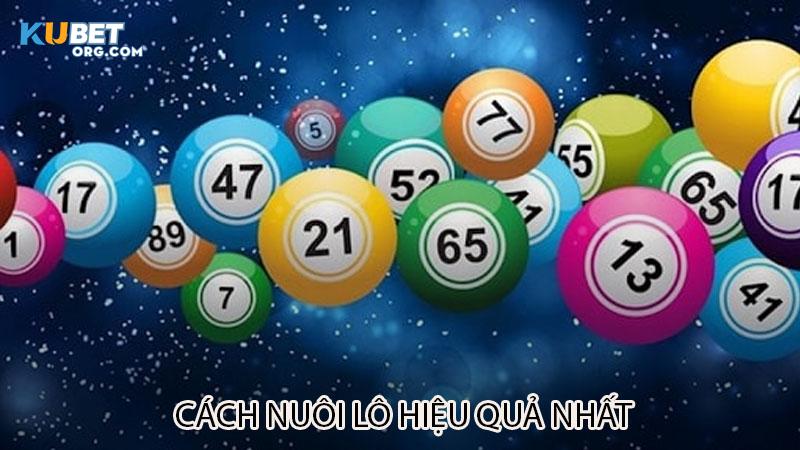 Cách nuôi lô hiệu quả nhất