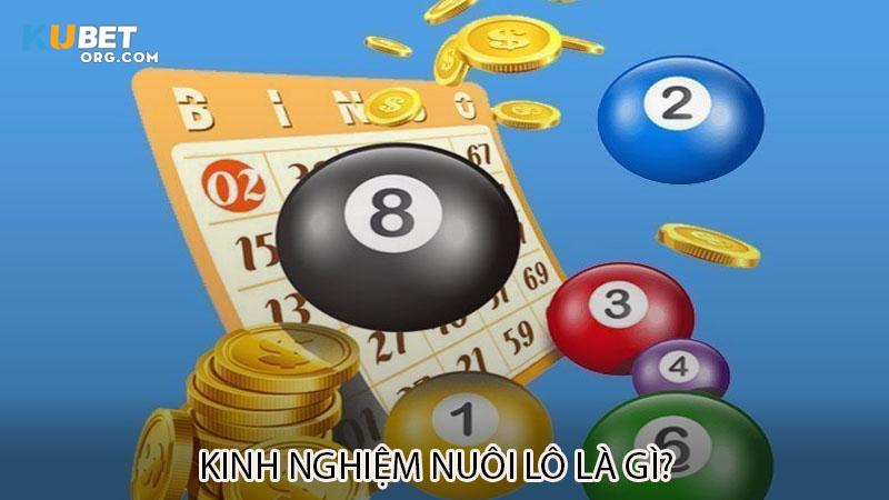 Kinh nghiệm nuôi lô là gì?