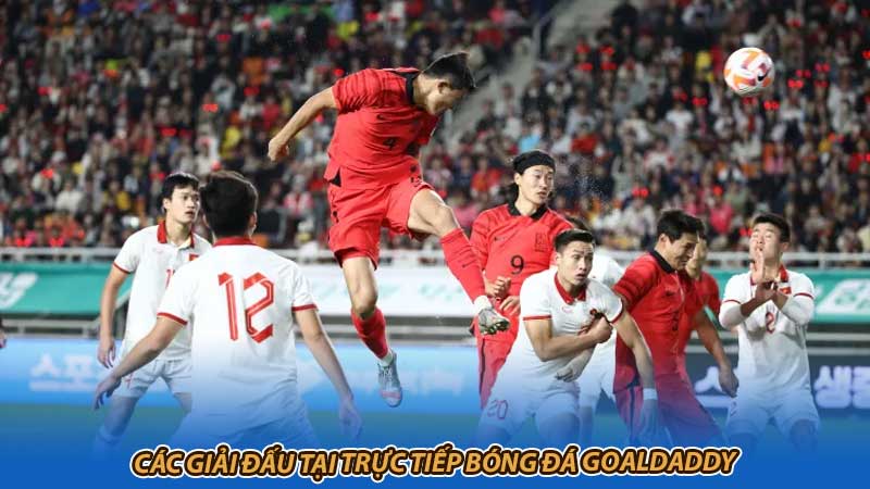 Các giải đấu tại trực tiếp bóng đá Goaldaddy